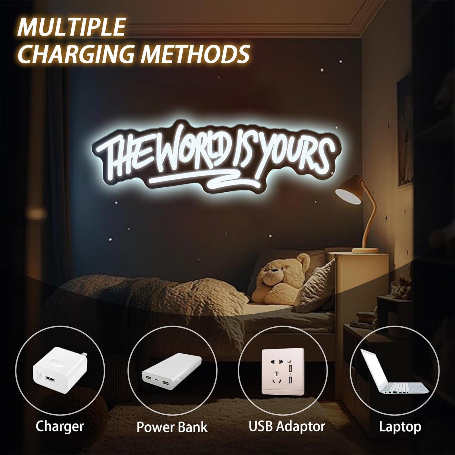 The World is Yours Neon Sign U - Led Lighting Wall Decor 评论和价格
